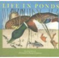 Life in Ponds