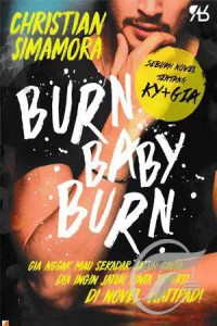 Image of Burn Baby Burn