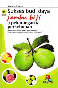 Image of Sukses budi daya jambu biji di pekarangan dan perkebunan