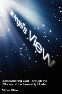 Image of An angel's view : encountering God through the stories of the heavenly hosts