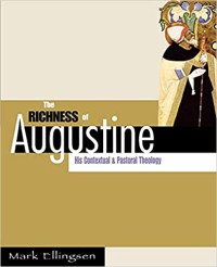 Image of The richness of Augustine : his contextual and pastoral theology