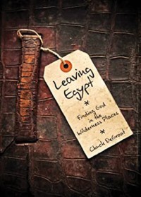 Image of Leaving Egypt : finding God in the wilderness place