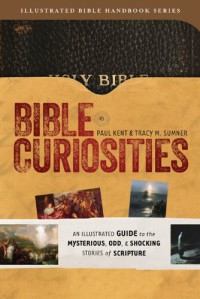 Image of Bible curiosities : an illustrated guide to the mysterious, odd & shoking stories of scripture