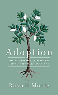 Image of Adoption : what Joseph of Nazareth can teach us about this countercultural choice