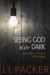 Image of Seeing God in the dark : unraveling the mysteries of holy living
