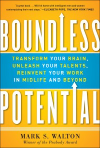 Image of Boundless potential : transform your brain, unleash your talents, reinvent your work in midlife and beyond