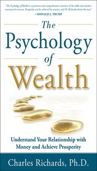 Image of The psychology of wealth : understand your relationship with money and achieve prosperity