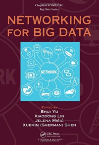 Image of Networking for big data