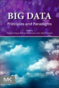 Image of Big data : principles and paradigms