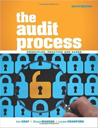 Image of The audit process : principles, practice and cases