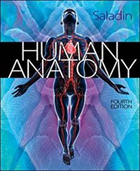 Image of Human anatomy