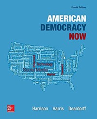 Image of American democracy now