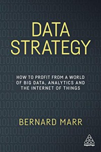 Image of Data strategy : how to profit from a world of big data, analytics and the internet of things