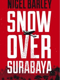 Image of Snow over Surabaya