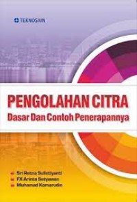 Image of Pengolahan citra: Dasar dan contoh penerapannya