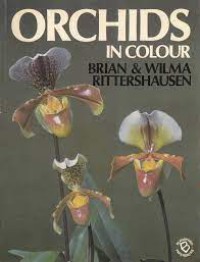 Image of Orchids in Colour