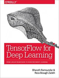 Image of TensorFlow For Deep Learning : From Linear Regression To Reinforcement Learning
