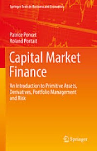 Image of Capital Market Finance : An Introduction to Primitive Assets, Derivatives, Portfolio Management and Risk